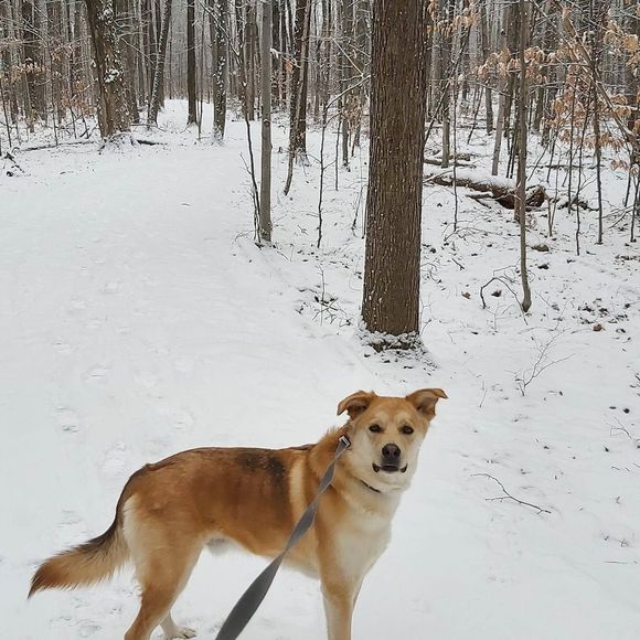 Meet your Posher, Daniela - Picture 1 of 1